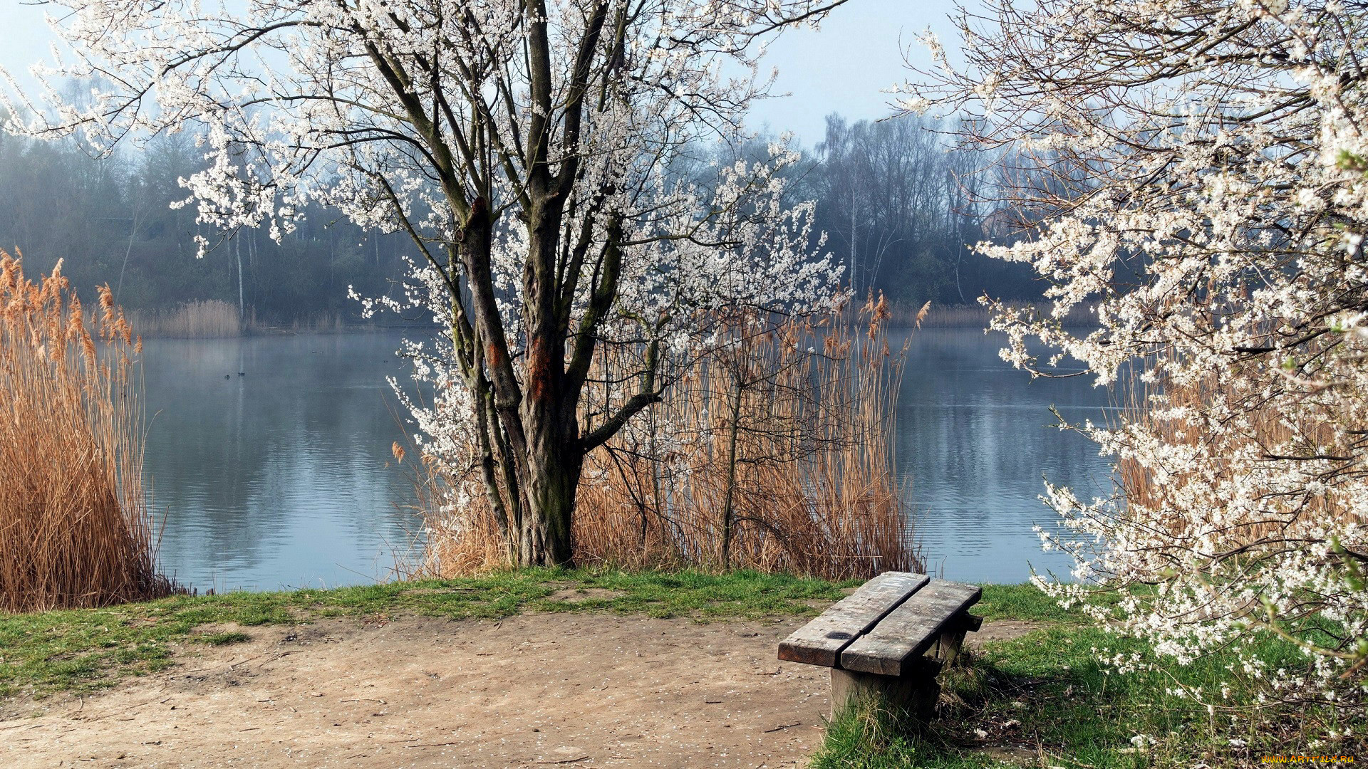 Весна у озера